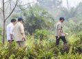 Prabowo ke Riau untuk Tinjau Penanganan Karhutla di Sumatra