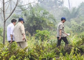 Prabowo ke Riau untuk Tinjau Penanganan Karhutla di Sumatra