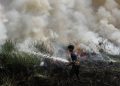 Kesaksian Aktivis tentang Cikal Karhutla Diduga Akibat Pembukaan Lahan