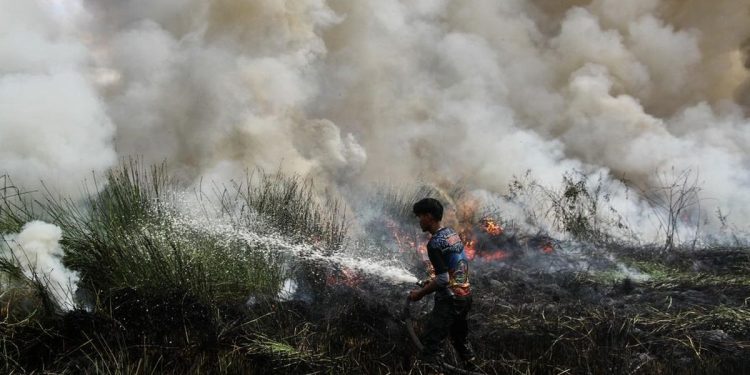 Kesaksian Aktivis tentang Cikal Karhutla Diduga Akibat Pembukaan Lahan
