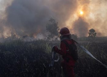 Peningkatan Hotspot Karhutla Kalsel, Tambah Pasukan Darat dan Water Bombing