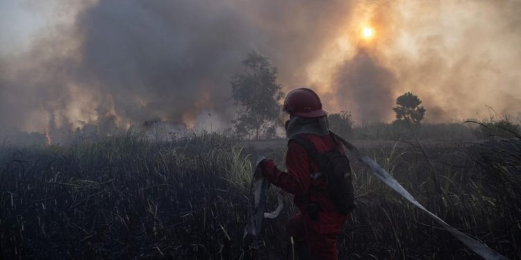 Peningkatan Hotspot Karhutla Kalsel, Tambah Pasukan Darat dan Water Bombing