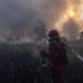 Peningkatan Hotspot Karhutla Kalsel, Tambah Pasukan Darat dan Water Bombing