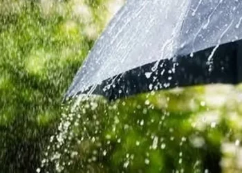 Sejumlah Kota Besar Berpotensi Hujan Menurut BMKG, Simak Daftarnya