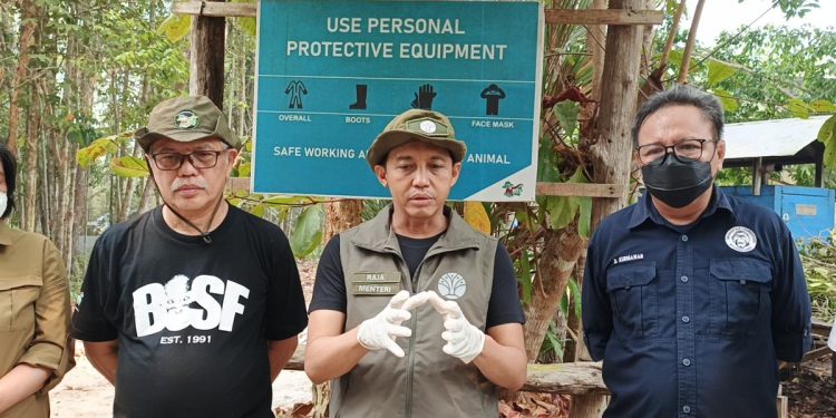 Menantu Minta Waspada Kebakaran Hutan Walau Titik Panas Berkurang