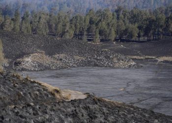 Kebakaran Hutan Gunung Semeru Padam, Hanguskan 3072 Hektare Lahan