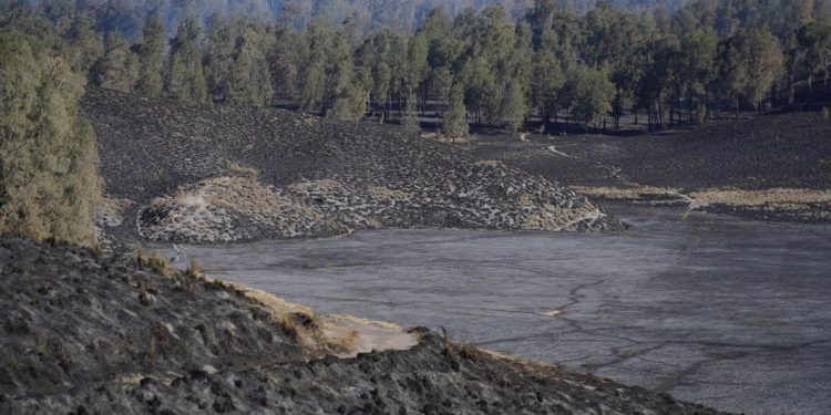 Kebakaran Hutan Gunung Semeru Padam, Hanguskan 3072 Hektare Lahan