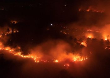 Kebakaran di Kawasan Gunung Ijen, Api Meluas di Area Cagar Alam