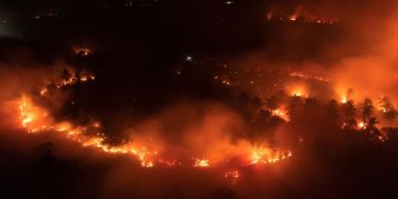 Kebakaran di Kawasan Gunung Ijen, Api Meluas di Area Cagar Alam
