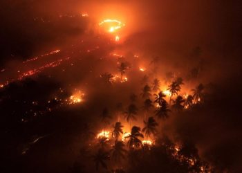 19 Perusahaan Diduga Penyebab Utama Melonjaknya Kasus ISPA