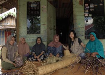 Ubah Purun Menjadi Organiser Teknologi, Inovasi Ramah Lingkungan Selamatkan Gambut Kalimantan