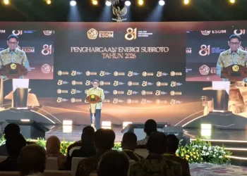 Kementerian ESDM Tingkatkan Jaringan Listrik Desa untuk Mendorong Perekonomian