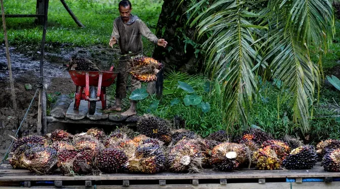 Strategi Bisnis Perkebunan Dibeberkan kepada Mahasiswa oleh BPDP