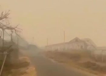 Kebakaran Hutan di Papua Mengakibatkan Kabut Asap di Mimika