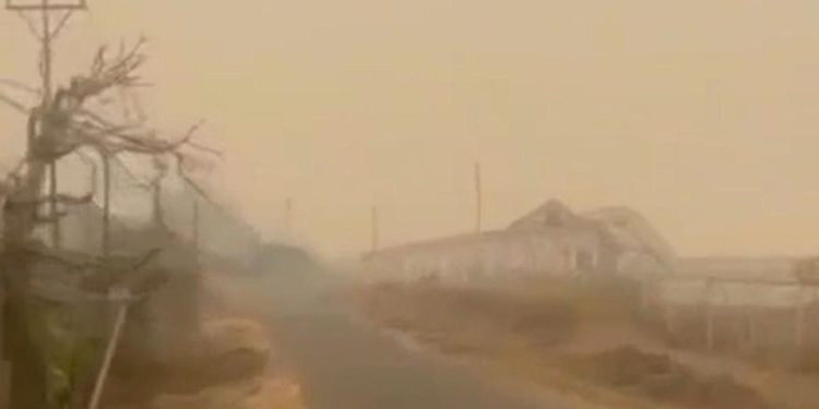 Kebakaran Hutan di Papua Mengakibatkan Kabut Asap di Mimika