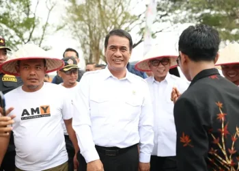 Harga Singkong Lampung Meningkat Menjadi Rp3.050 per Kg, Petani Hargai Dukungan Pemerintah