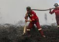 Update Terbaru Hotspot Kebakaran Hutan Kalteng Paling Tinggi