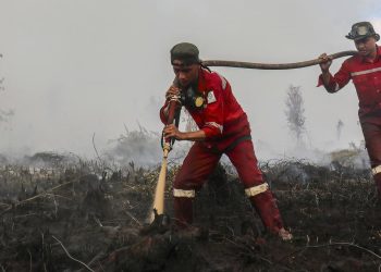 Update Terbaru Hotspot Kebakaran Hutan Kalteng Paling Tinggi