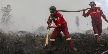 Update Terbaru Hotspot Kebakaran Hutan Kalteng Paling Tinggi