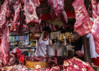 Turunnya Harga Daging Sapi Saat Ini