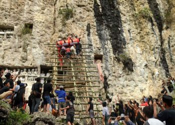 Karhutla Toraja Utara Ratusan Peti Jenazah di Makam Tradisional Terbakar
