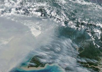 Jumlah Titik Panas Karhutla Papua Selatan Menurun, Tersisa 65 Hotspot