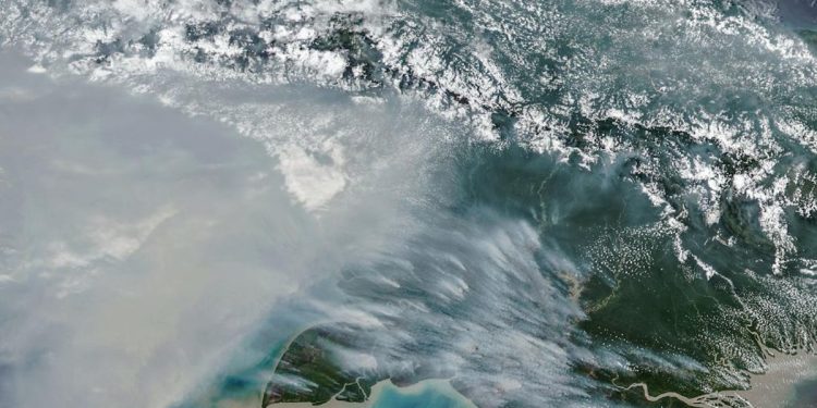 Jumlah Titik Panas Karhutla Papua Selatan Menurun, Tersisa 65 Hotspot