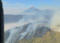 Karhutla Menyerang Lima Wilayah Gunung di Jawa Timur
