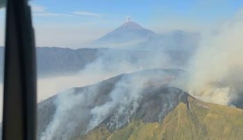 Karhutla Menyerang Lima Wilayah Gunung di Jawa Timur