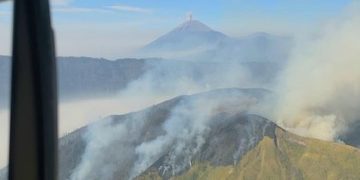Karhutla Menyerang Lima Wilayah Gunung di Jawa Timur