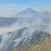 Karhutla Menyerang Lima Wilayah Gunung di Jawa Timur