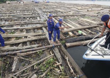 TNI AL Amankan 2 Kapal Bawa 8 Ribu Kayu Ilegal di Pulau Buru