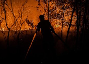 9 Relawan Tewas Saat Berjuang Memadamkan Kebakaran Hutan dan Lahan