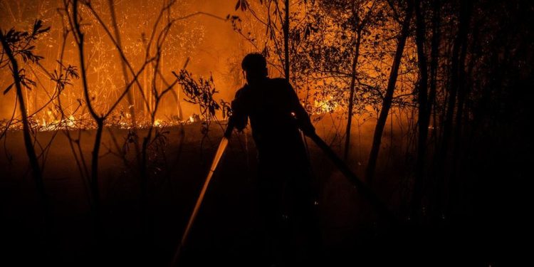9 Relawan Tewas Saat Berjuang Memadamkan Kebakaran Hutan dan Lahan