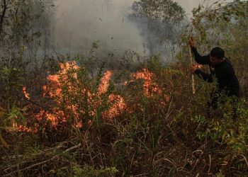 Malaysia Siapkan Pesawat dan Heli untuk Atasi Kebakaran Hutan dan Lahan