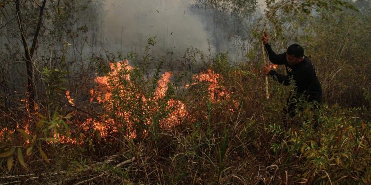 Malaysia Siapkan Pesawat dan Heli untuk Atasi Kebakaran Hutan dan Lahan