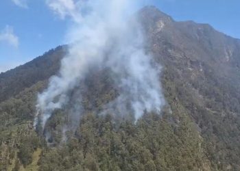 Kebakaran Kembali Terjadi di Gunung Arjuno