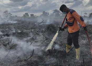 Bandara H Asan Sampit Tutup Total di Bulan Oktober Karena Asap Karhutla