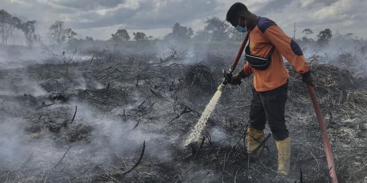 Bandara H Asan Sampit Tutup Total di Bulan Oktober Karena Asap Karhutla